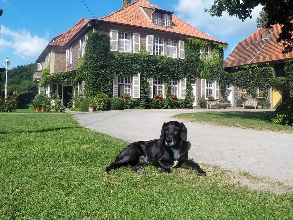 Ferienwohnungen Georgenbruch Everswinkel Dış mekan fotoğraf